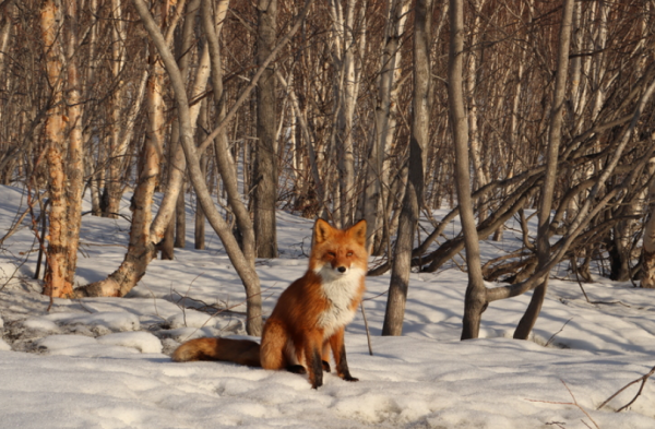 IconicPixel Photography - Image 6